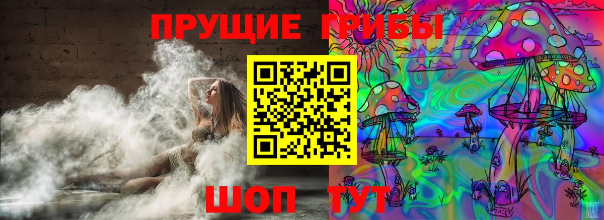 Псилоцибиновые грибы GOLDEN TEACHER Семёнов