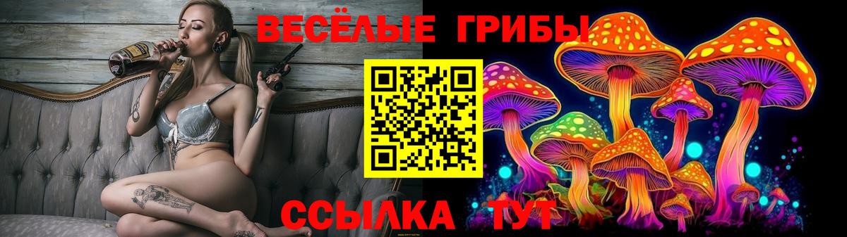 сколько стоит  Вход с VPN  Семёнов  Галлюциногенные грибы Cubensis 